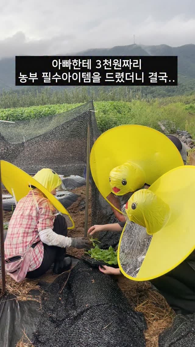 seonhyangwon_blueberry 게시물 이미지: 3천원짜리 농부필수템을
부모님께 드려보았습니다...🐤

정보 필요하신 분은 댓글에...