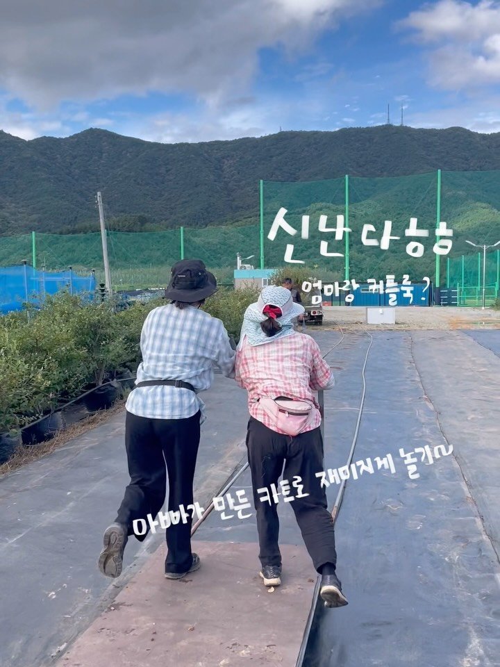 seonhyangwon_blueberry 게시물 이미지: 농장에서 일안하고 놀기만 하냐구요!?

이건 나무 옮길 때 마다 너무 잘 쓰고...