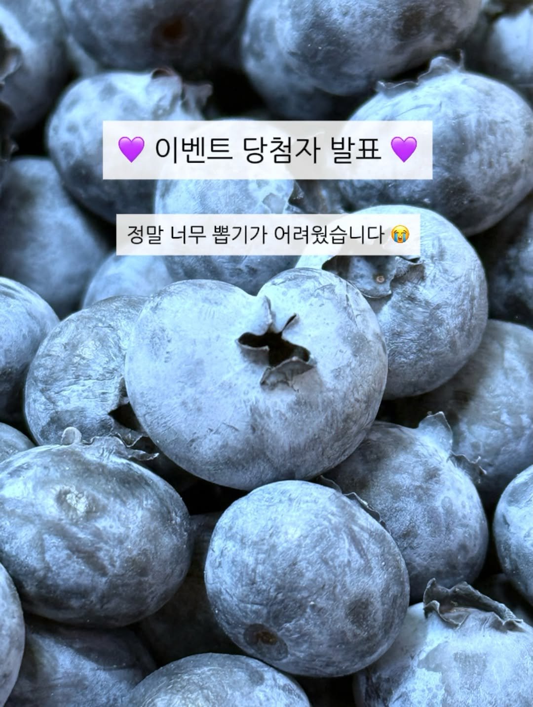 seonhyangwon_blueberry 게시물 이미지: 정말 많은 분들이 참여해주셔서 감사합니다! 💜
정말 너무너무 뽑기가...