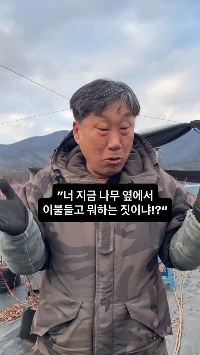 seonhyangwon_blueberry 게시물 이미지: 블루베리 농부 아버지가 이불을 뺏은 이유는..

아빠한테 블루베리를...