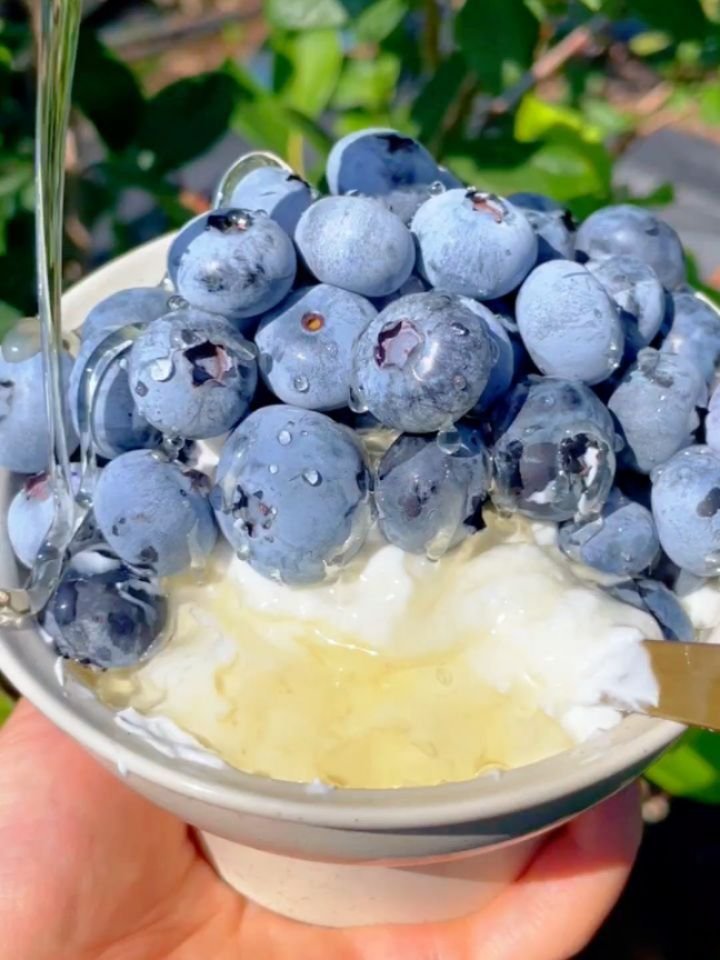 seonhyangwon_blueberry 게시물 이미지: 🫐 블루베리, 꿀조합 좀 알려주세요!🍯
다들 블루베리 어떻게 드시고...