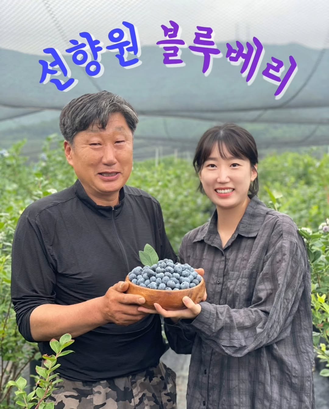 Photo by 선향원 블루베리 • 무농약 인증 블루베리 농장🫐 on June 28, 2025.