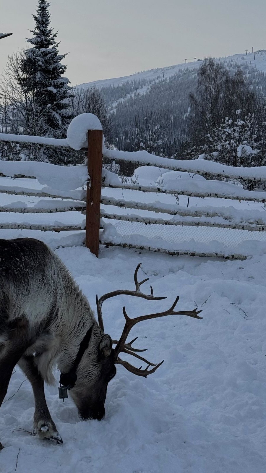 seonyeoc 게시물 이미지: do you remember?