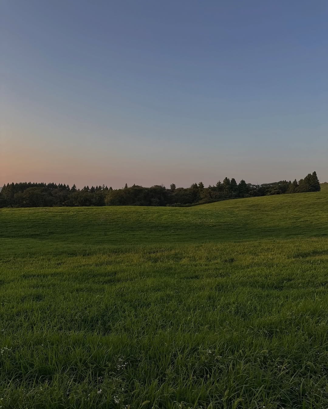 Photo by 정선혁 Seon Hyeok on August 13, 2025. May be an image of silo, grass, horizon, twilight, nature, sky and text.