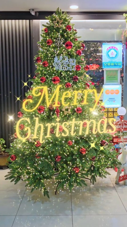 seoryong40 게시물 이미지: 연말의 분위기가 한창인 요즘 서룡✨
반짝이는 트리곁에서, 다양한 오브제 아래에서...