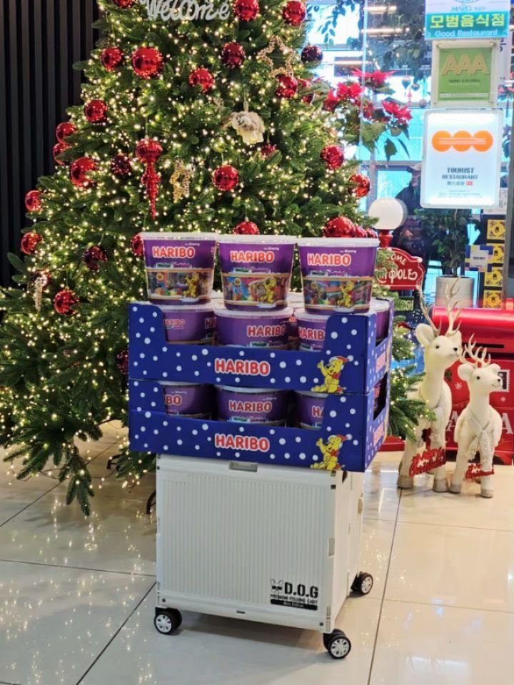 seoryong40 게시물 이미지: 여러분 메리크리스마스~🎄🌟🎉
모두 즐거운 크리스마스 보내고 계시지요🦌🫎

서룡에...