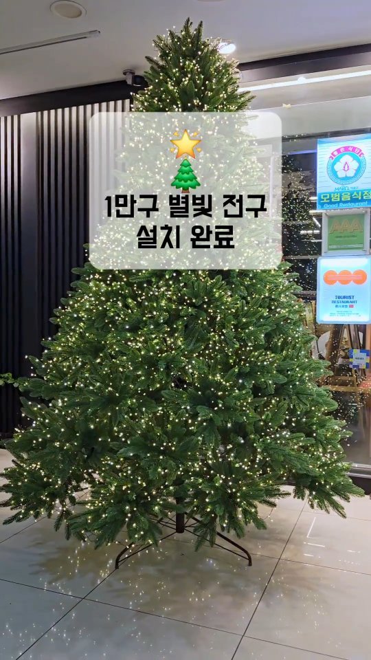 seoryong40 게시물 이미지: ✨ 트리에 ‘1만 구 별빛 전구’를 감았습니다 💡
서룡의 겨울이 한층 더...