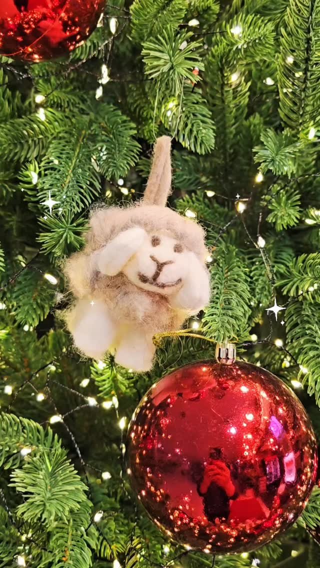 seoryong40 게시물 이미지: GOODBYE~ 2025🌟🎆
HELLO~ 2026🌝🎉

2025년 한해 동안 
저희...