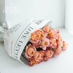 sloowplant 프로필 사진