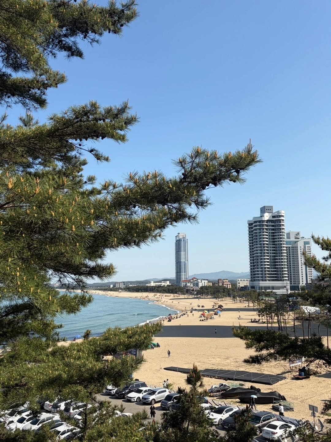 seosawon 게시물 이미지: #서사원_마케팅팀_연휴_일상

1. 마케터 H
노동절을 맞아 친구들과 양양 당일치기...