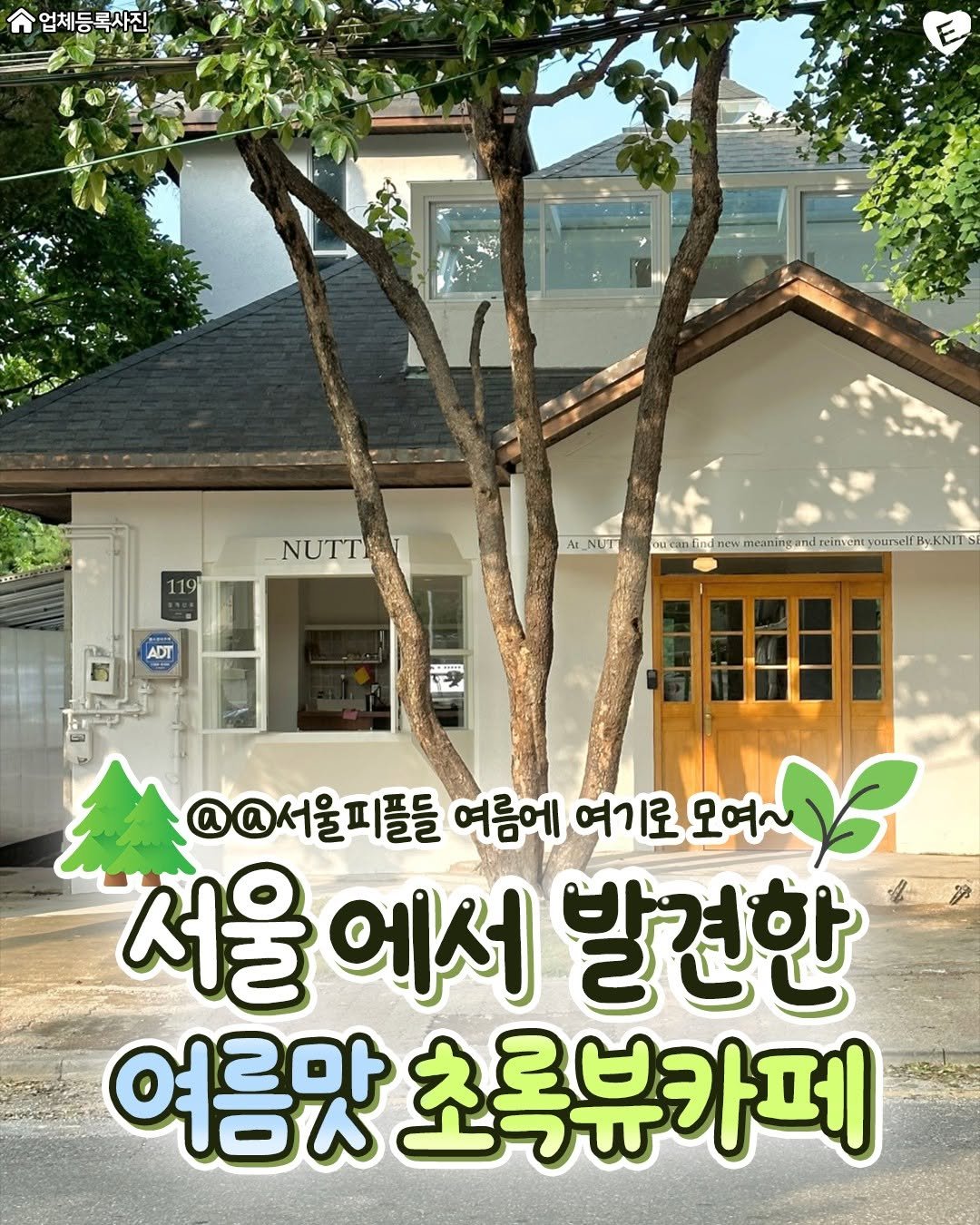 Photo shared by 서울맛집 서울잇츠 서울카페 서울데이트 건대맛집 성수동맛집 홍대맛집 이태원맛집 신촌맛집 합정맛집 강남맛집 연남동맛집 on August 14, 2025 tagging @kangnam.eats, @hongdae.eats, and @nowon.eats. May be an image of tree, outdoors and text that says '업체등록사진 -NUTT At M_NUTT oucan! ind In new wuontwfnco.mananananauua meanin an WKNIS @@서울피플들 울피플들 여름에 여기로 오여 مله 서울 에서 발견한 여름맛 초록뷰카페'.