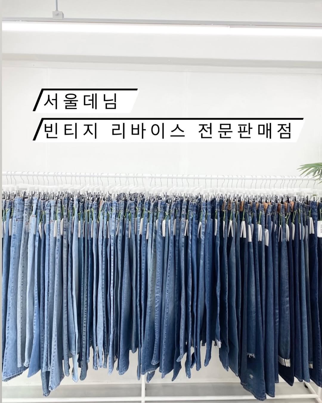 Photo by 서울데님 on October 12, 2024.