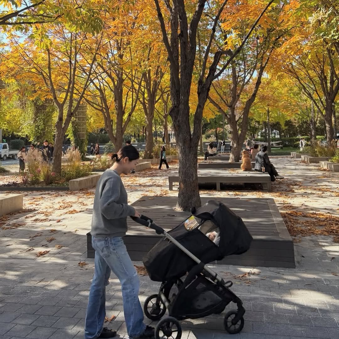 Photo shared by 서울데님 on November 25, 2025 tagging @seoul__denim. May be an image of carriage, park and text.