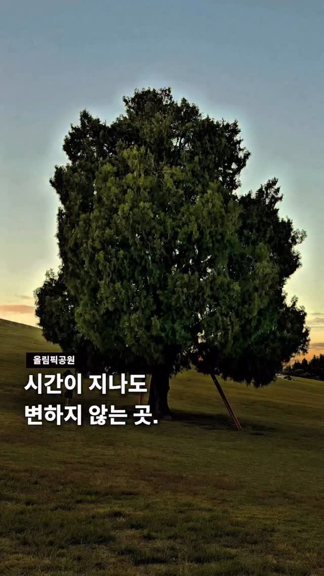 seoul__guide 게시물 이미지: 시간이 지나도 변하지 않는 마음으로 

시간이 지나도 변하지 않는 마음으로...