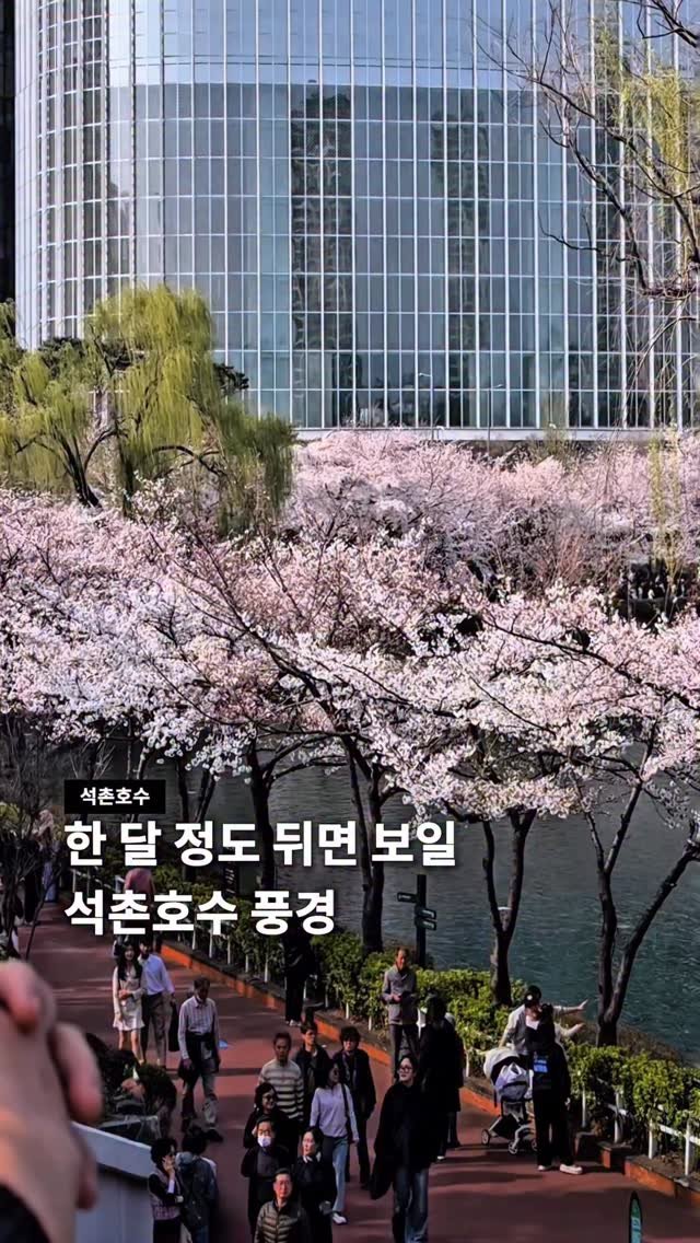 seoul__guide 게시물 이미지: 석촌호수 벚꽃 100퍼센트 즐길 준비 하기 👀

시간이 흘러 어느덧 벚꽃 만개가...