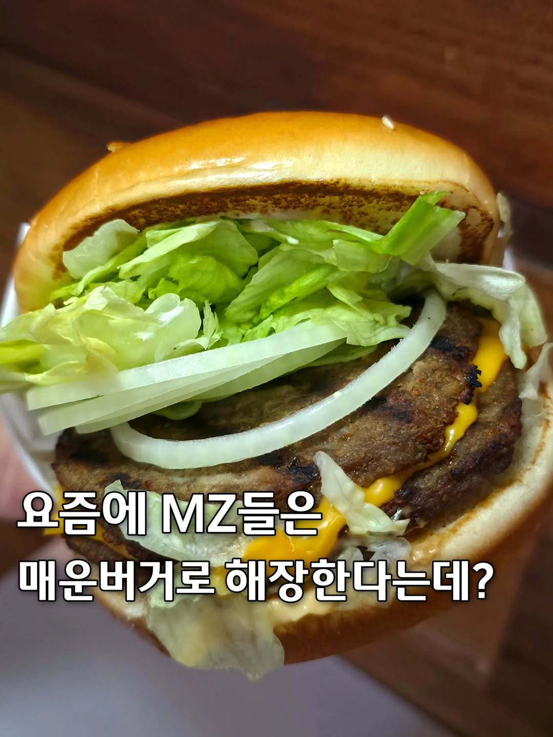 버거 진짜 미친 곳 찾았어요