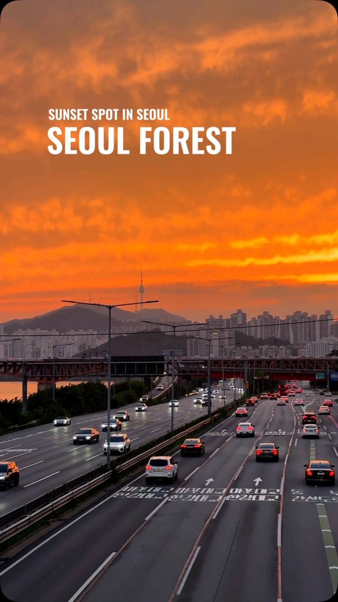 seoul_express_tours 게시물 이미지: Best sunset spot in Seoul?
Seoul Forest...