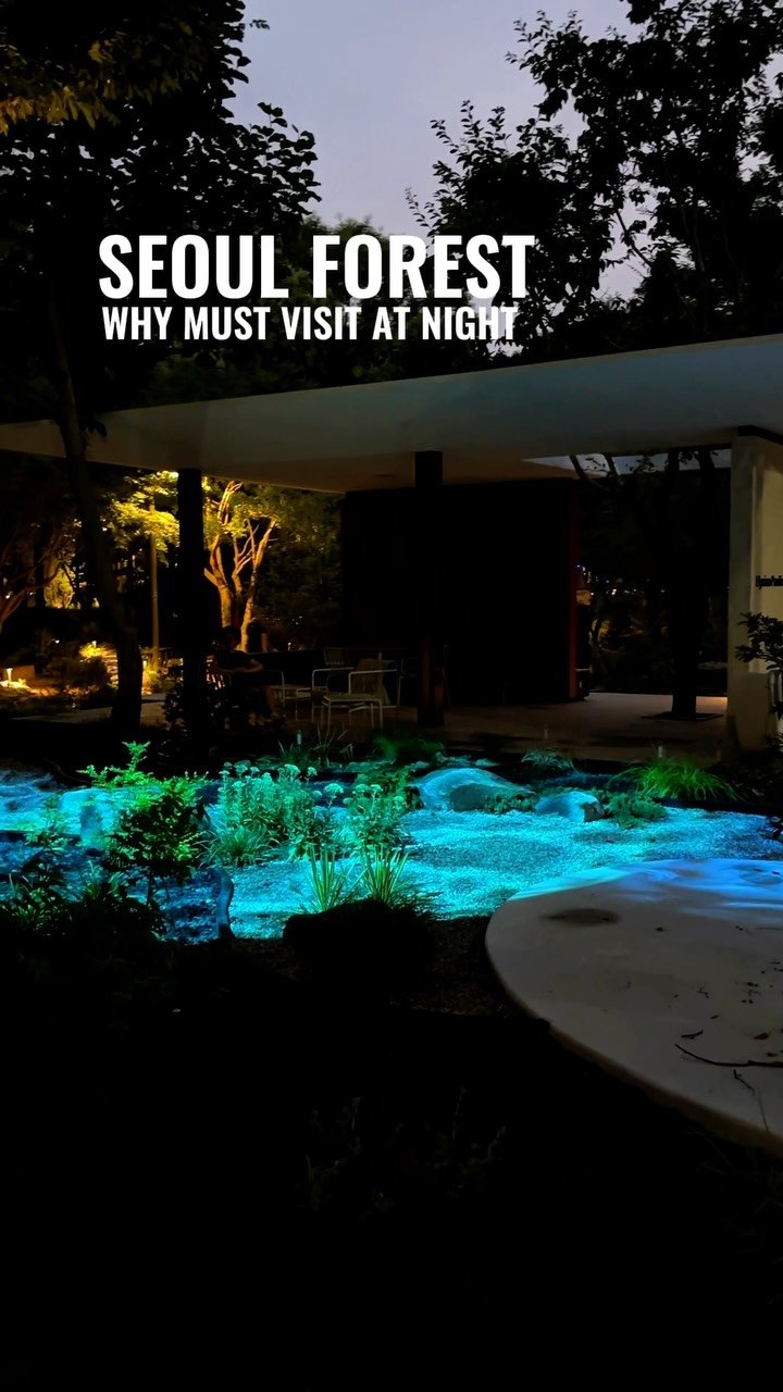 seoul_express_tours 게시물 이미지: Seoul Forest: why you need to visit at night...