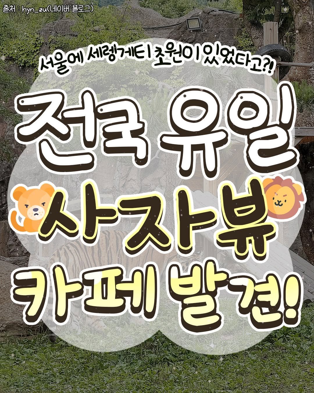 seoul_life___ 게시물 이미지: 🦁전국 유일 사자뷰 카페 아시나요?

서울대공원 동물원 안에 있는
제3아프리카관...