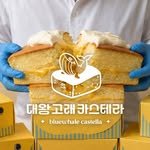 bluewhalecastella 프로필 사진