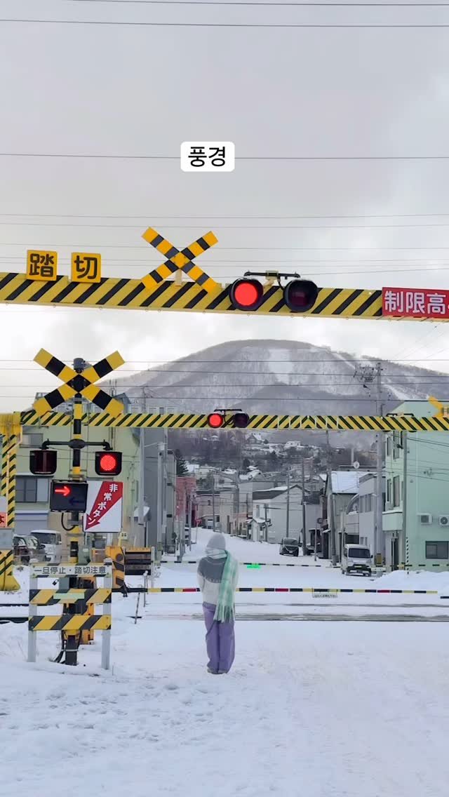 seoul_mom 게시물 이미지: 🚂 기차길에 담긴 소중한 추억 이야기 🌸

기차 소리가 멀리서 들려오던 그때, 🚉...