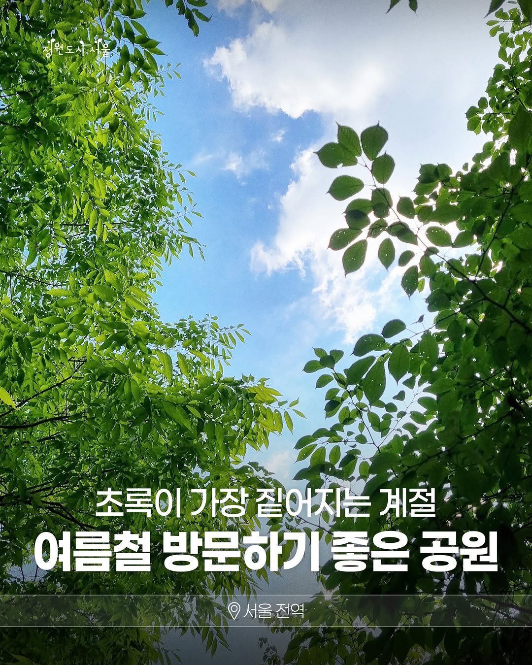 seoul_parks_official 게시물 이미지: 초록이 가장 짙어지는 계절,
여름에 더 걷기 좋은 서울의 공원들 🌿

시원한...