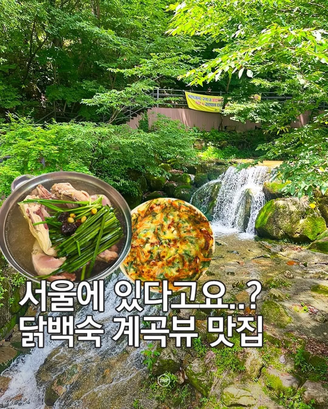 seoul_thehotple 게시물 이미지: (저장필수) 서울에서 계곡뷰 백숙집 즐기는 곳!? 💙

우이동에는 보기만...