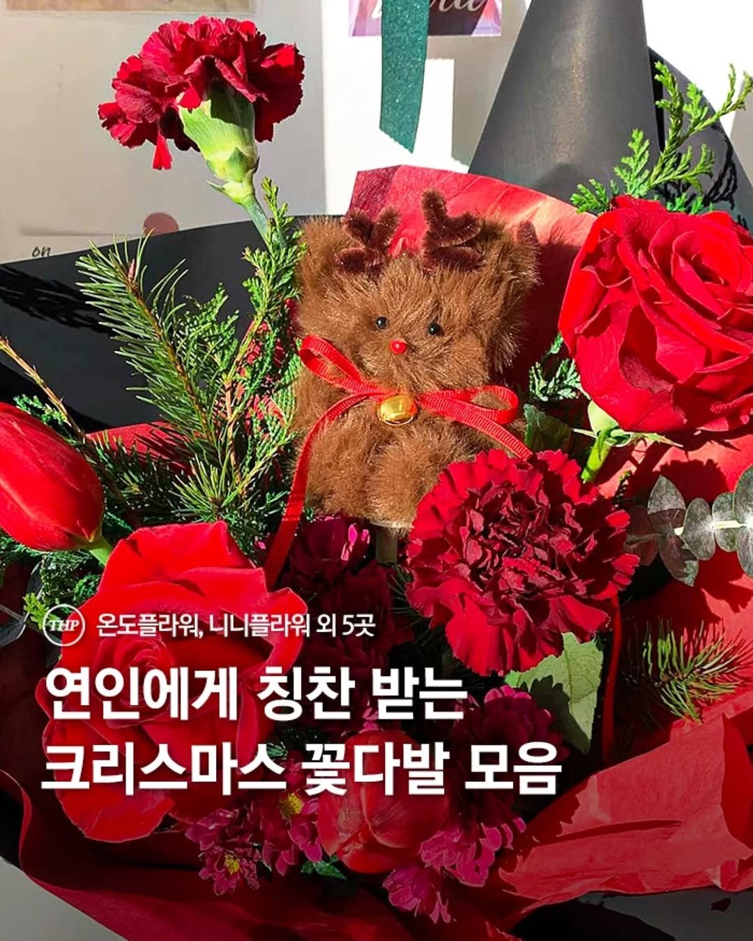 Photo shared by 서울더핫플 서울맛집 서울카페 서울여행 서울가볼만한곳 on December 22, 2025 tagging @thehotple.zip, and @arou.flower. May be an image of flower arrangement, prairie gentian, baby's-breath, carnation, rose and text that says 'on THP 온도플라워, 니니플라워 외 5곳 연인에게 칭찬 받는 크리스마스 꽃다발 모음'.