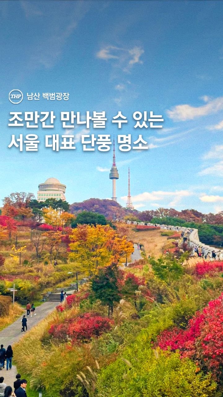 seoul_thehotple 게시물 이미지: 곧 만날 수 있는 남산 대표 단풍 명소! 🍁

드디어 다가오는 알록달록한 단풍...