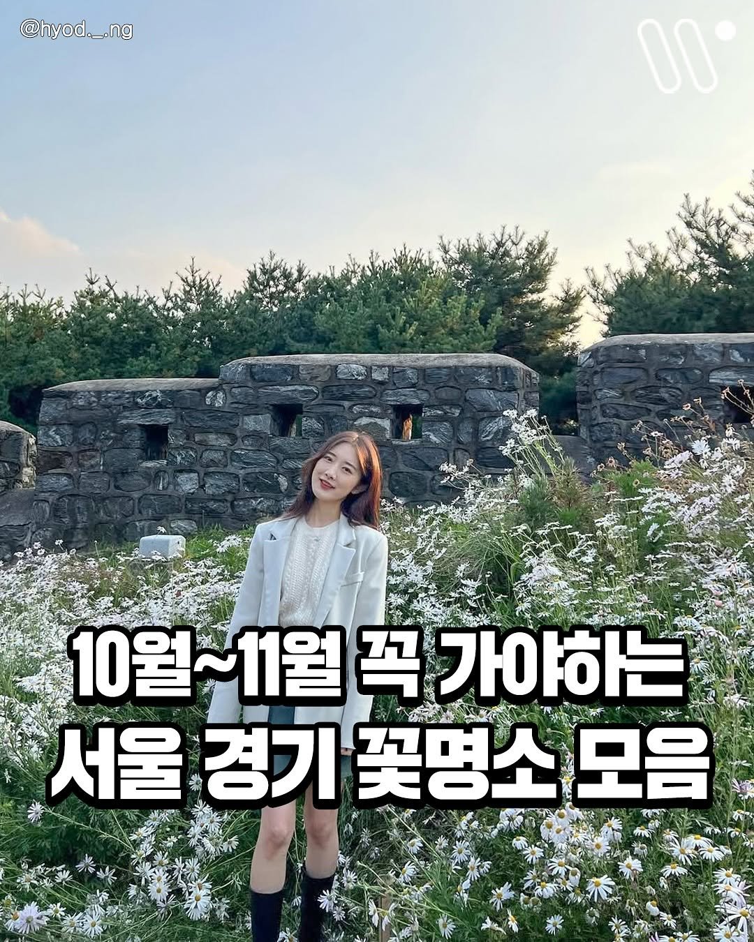 Photo by 서울트렌드 서울여행 서울맛집 서울술집 서울놀거리 서울데이트 on September 28, 2025. May be an image of 1 person and text that says '@hyod._.ng 00 10월~ 10월~11월 10월~11월꼭가야하는 11월 꼭 가야하는 서울 서울경기 서울경기꽃명소 경기 꽃명소 모음'.