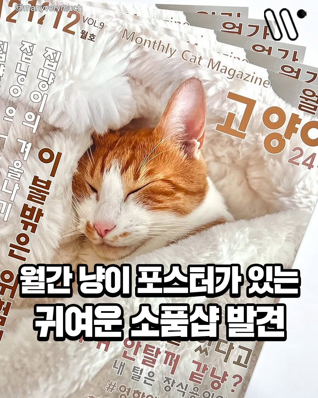 Photo by 서울트렌드 서울여행 서울맛집 서울술집 서울놀거리 서울데이트 on September 28, 2025. May be an image of ‎cat and ‎text that says '‎21112 월호 @manyverymuch VOL.9 Monthly Cat 원기 ゴッ.ー AO Ω6πε 어가 Magazine Magazine ዓጋ 10 의 개이 겨 이 고양 울 24 나 ប្ញ្ស 울 צדיל ነውድ 월간 냥이 포스터가 있는 귀여운 소품샵 발견 הלא 4 틸은 안탈꺼 #여하 갈냥?‎'‎‎.