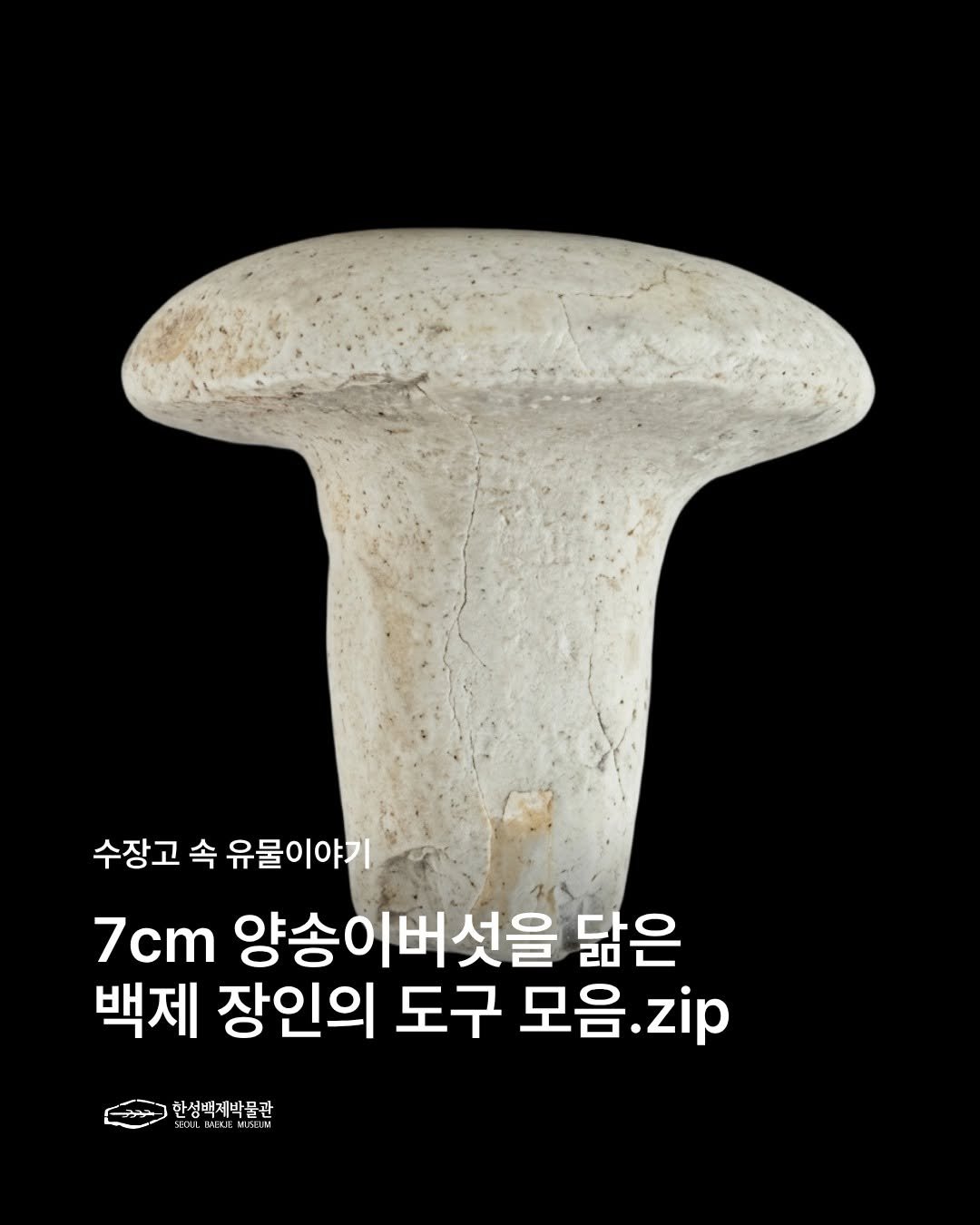 Photo by 한성백제박물관 on March 29, 2026. May be an image of mushroom, puffball mushroom and text that says '수장고 수장고속유물이야기 속 유물이야기 7cm 양송이버섯을 닮은 백제 장인의 도구 모음. 모음.zip zip 한성백제박물관 SEDLMBUEMISEIM JE: F 한성백계박품관'.
