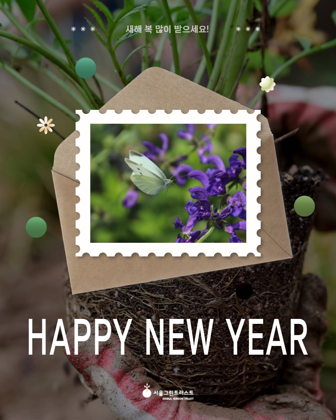 Photo by 서울그린트러스트 on December 29, 2025. May be an image of balloon flower, scorpion grass and text that says '米米米 새해 새해복많이받으세요! 복 많이 받으세요! 米米米 HAPPY NEW YEAR 서울그린트러스트 FEOLA FOL GRE GREEN TRUST'.