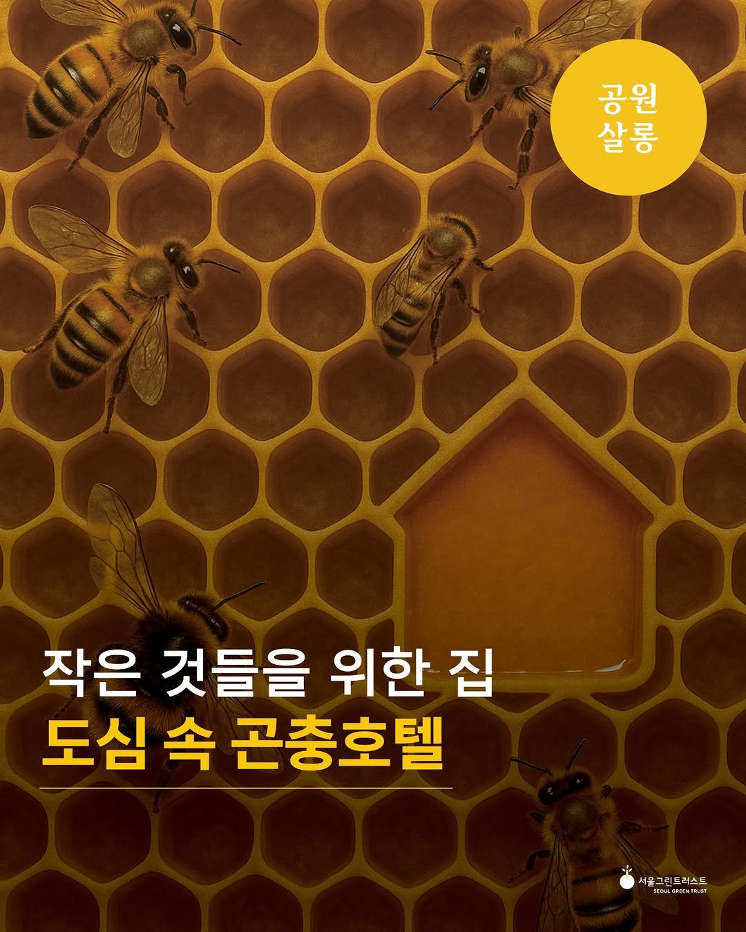 Photo by 서울그린트러스트 on August 07, 2025. May be an image of bee and text that says '고 살 공살 공원 한민 원동 MO 원 살롱 작은 것들을 위한 집 도심 속 곤충호텔 서울그린드러스드 서포ㄱ림트러스드 жRoжeиR PKENIRESI'.