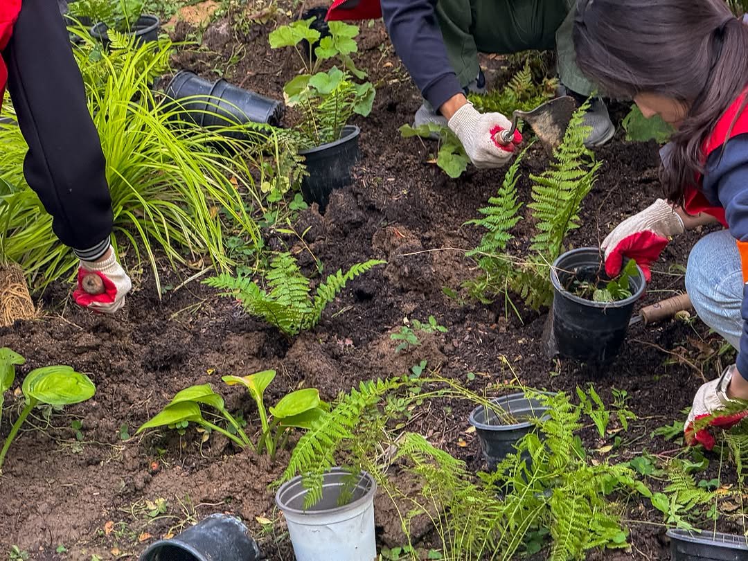 Photo by 서울그린트러스트 on November 01, 2025. May be an image of seedling and text.