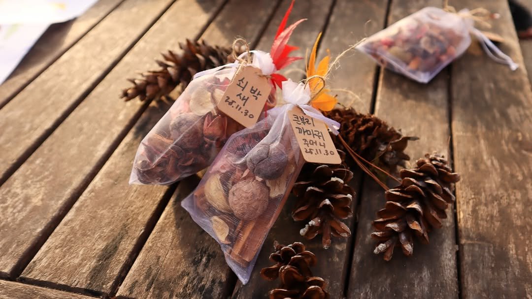 Photo shared by 서울그린트러스트 on December 13, 2025 tagging @seoulgreentrust, @ariel.1ee, @myoon_n, @loccitanekorea, @birdsseoul, @littlewetforest, and @local_habitat_studio. May be an image of granola, pecans, pinecone and text that says '쇠박 새 น.1.30 พ.ท1.30 20.4 ራዱ 콘브리 까미뭐 주어니 25.1130'.