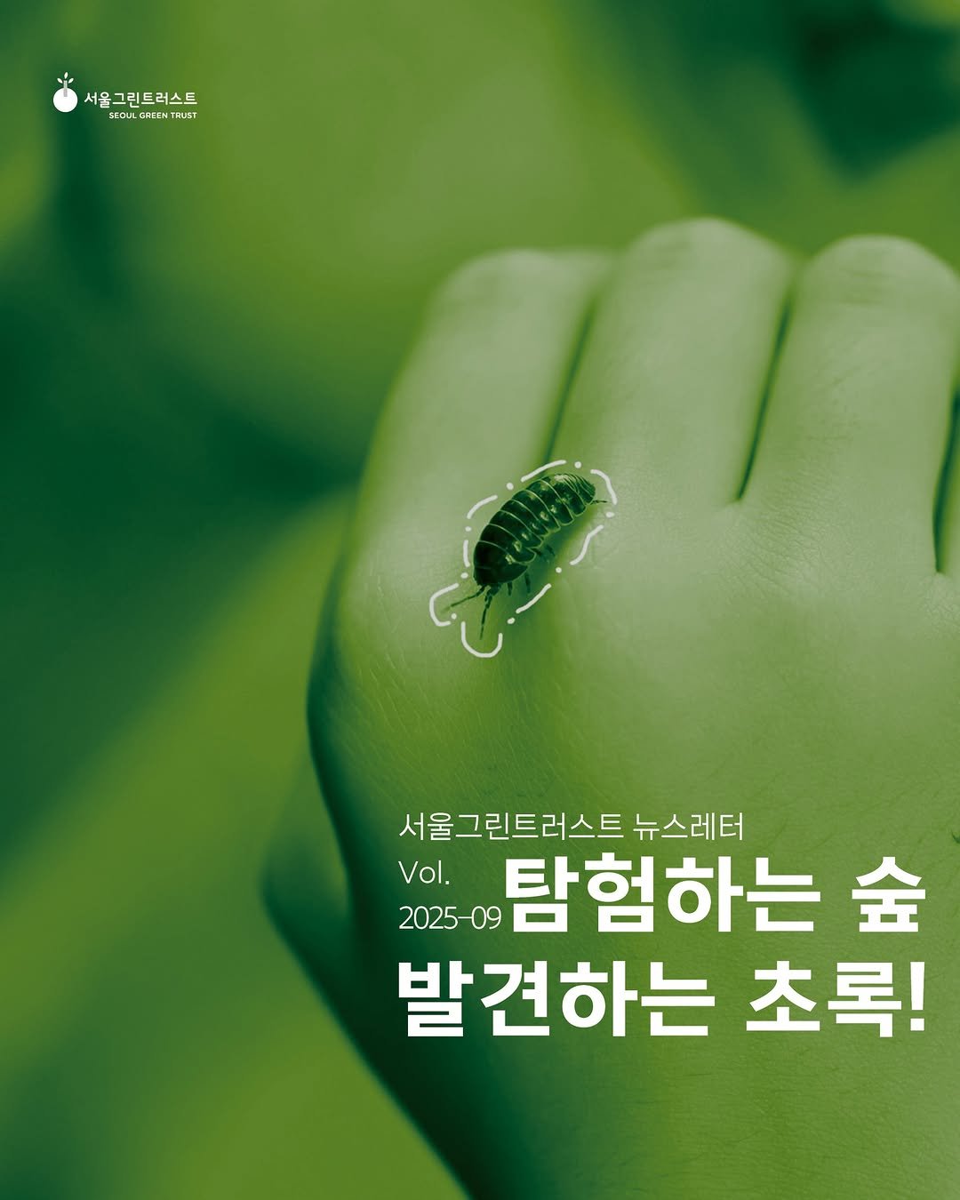 Photo by 서울그린트러스트 on September 25, 2025. May be an image of poster and text that says '서읍그린트러스트 CECU SECUL ICUL 서울그린트러스트 SECULCAENTR_T CULCA GACEN RUST 서울그린트러스트 뉴스레터 Vol. 2025-09 탐험하는 숲 발견하는 초록!'.