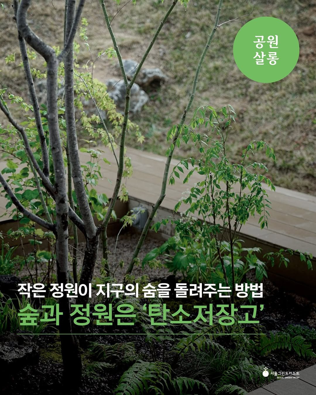 Photo by 서울그린트러스트 on September 18, 2025. May be an image of ivy, tree and text that says '하들 공 공원 원 말 살롱 O0 작은 정원이 지구의 숨을 돌려주는 방법 숲과 정원은 '탄소저장고' 서울그권드러스트 서울그린드러스드'.