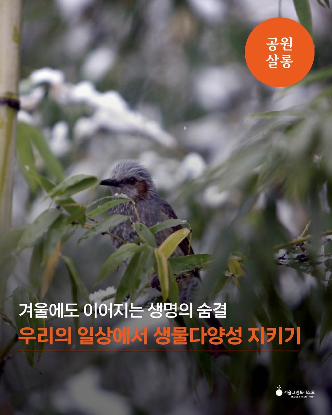 Photo by 서울그린트러스트 on December 21, 2025. May be an image of text that says '공원 살롱 롱 겨울에도 이어지는 생명의 숨결 우리의 일상에서 생물다양성 지키기 그린드러스드 LCOR KoжmoжeR'.