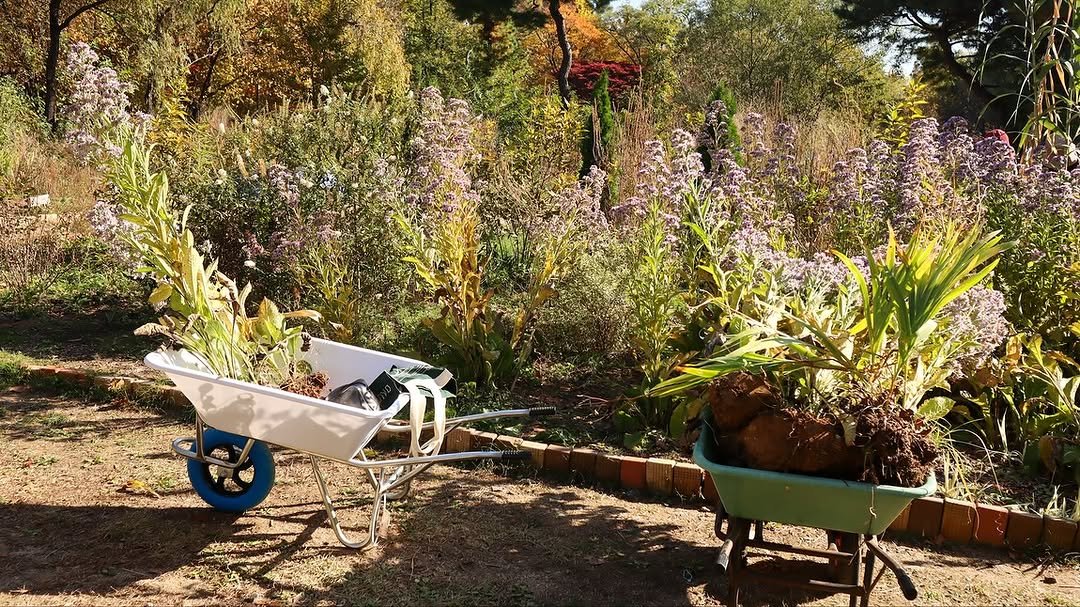 Photo by 서울그린트러스트 on November 09, 2025. May be an image of text.