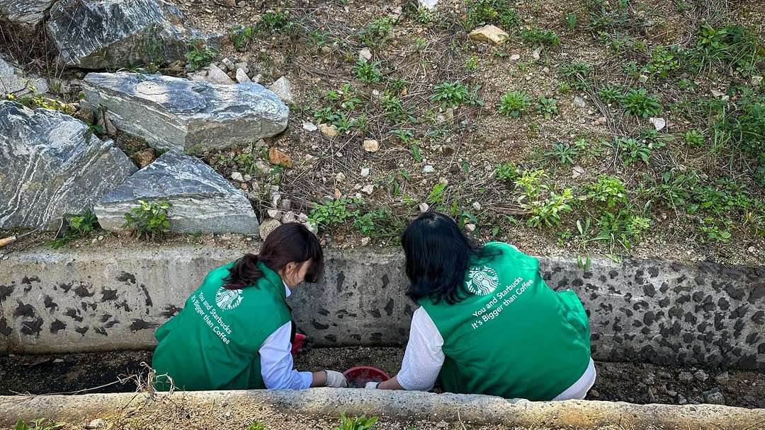 Photo by 서울그린트러스트 on December 17, 2025. May be an image of one or more people, park, curb and text.