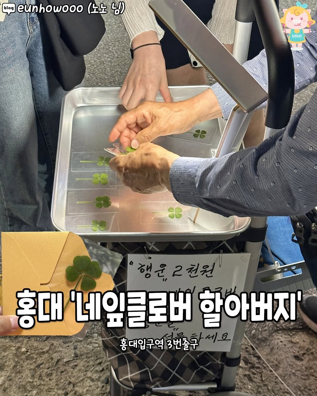 Photo by 서울핫플 공식계정 / 서울맛집 서울카페 서울여행 on May 16, 2025. May be an image of 2 people, vegetable, herb and text that says 'blog blog eunhowooo (노노 e(台 님) MIMI ® 행윤2천원 रं, 2 2천원 홍대 '네잎클로버 할아버지' 홍대입구역 3번출구'.