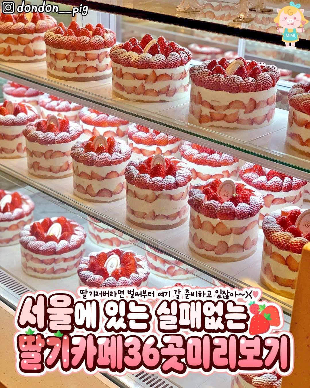 Photo by 서울핫플 공식계정 / 서울맛집 서울카페 서울여행 on September 30, 2025. May be an image of cake, strawberry, fruitcake and text that says 'dondon__pig MIMI 月: 서울에 딸기러버라면 벌써부터 여기 강 준비하고 있잖아~ นวั 실패없는 מץ 딸기카페36곳이리보기 딸기카네36 곳이리보기'.