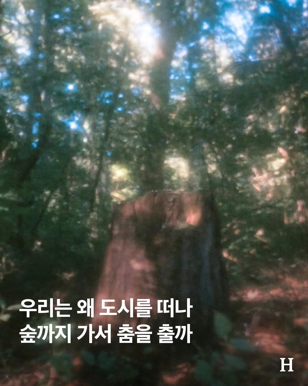 seoulhousemusic 게시물 이미지: 여름 끝자락에 갈 만한 페스티벌 하나 소개하려고 한다. TOR(토어) 페스티벌....
