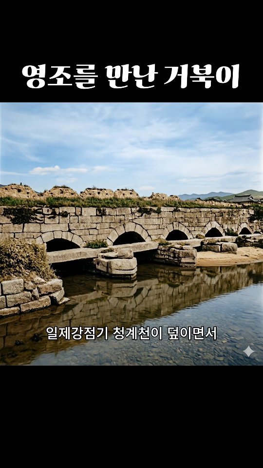 seoulmuse_scwm 게시물 이미지: 청계천 복원 발굴 과정에서 발견된 두 마리의 돌거북, 그 뒤에 숨겨진 이야기를...