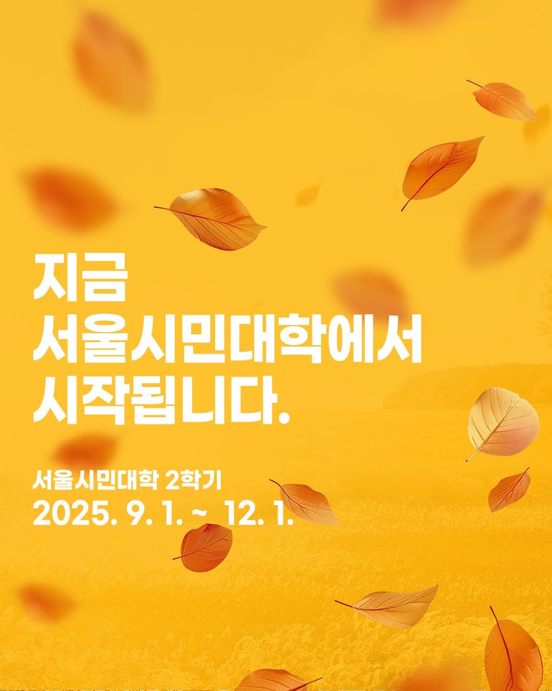 Photo by 서울시민대학 on September 01, 2025. May be an image of poster and text that says '지금 서울시민대학에서 시작됩니다. 서울시민대학 2학기 2025.9.1.- 12.1. 1.'.