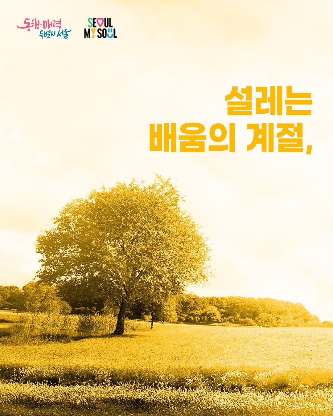 Photo by 서울시민대학 on September 01, 2025. May be an image of poster, outdoors and text.