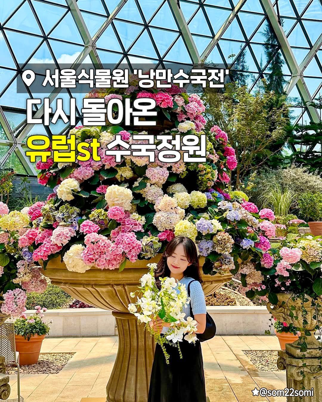 seoulplanet 게시물 이미지: 작년에 난리났던 수국전이
드디어 올해도 돌아왔어✨

서울식물원 지중해관...