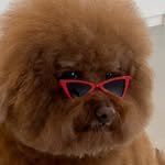 tory_mocha 프로필 사진