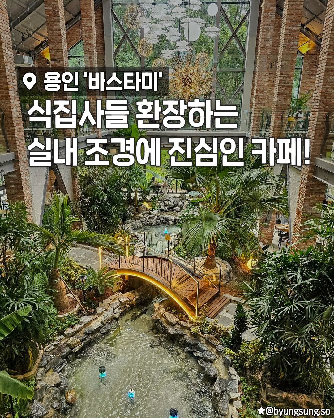 seoulplanet 게시물 이미지: 멀리까지 식물원 왜 가? 바스타미가 있는데..!

식물원 컨셉에 포토존으로...